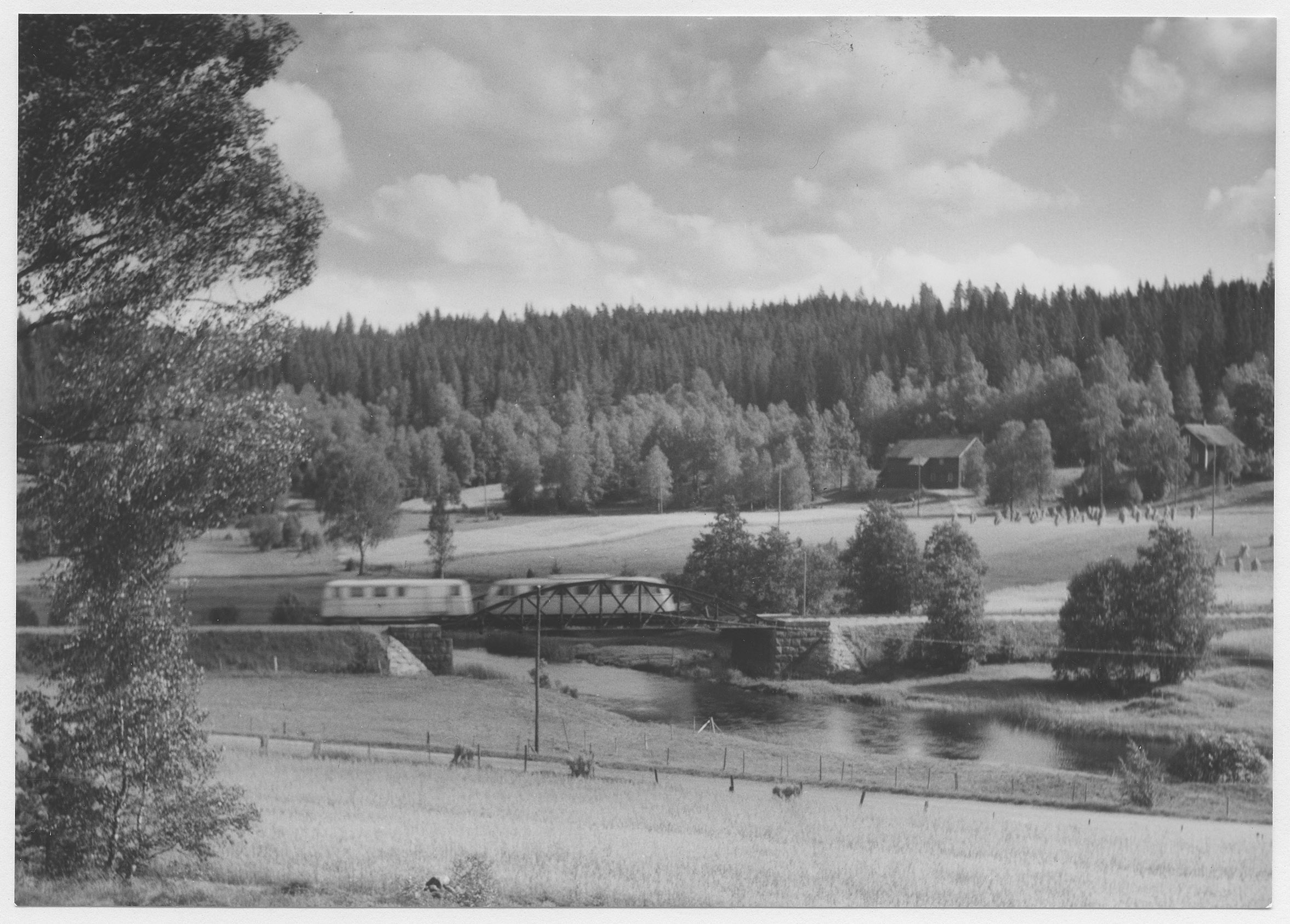Mårten Sjöbeck, Normanslid