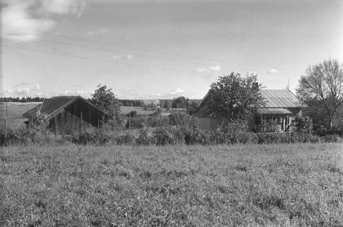 Anno Domkirkeodden, EKSTR: GARDSTUN, ROGNSTAD. Se Løtenboka, bind 2. Bygdeboka fra 1953, side 257