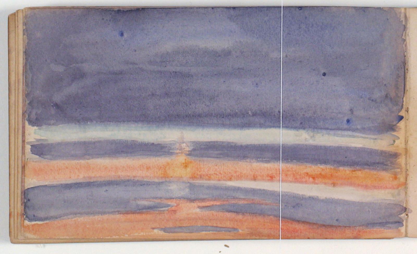 Niels Larsen Stevns, Skystudie
