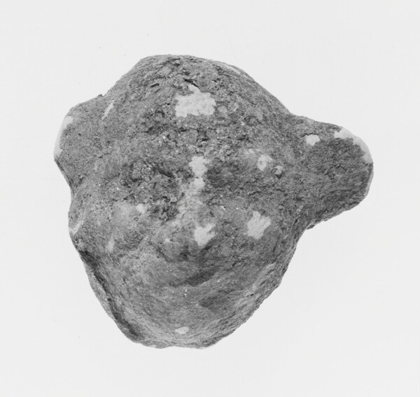 Unknown, Head of a Comic Actor