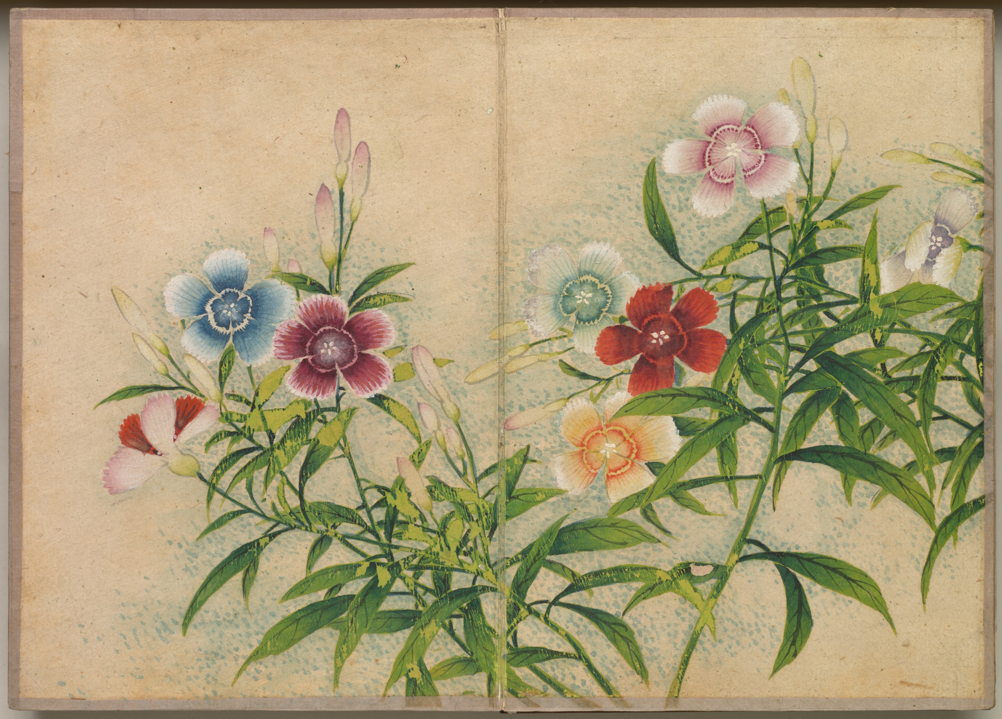 Zhang Ruoai, Desk Album: Flower and Bird Paintings (Pinks)