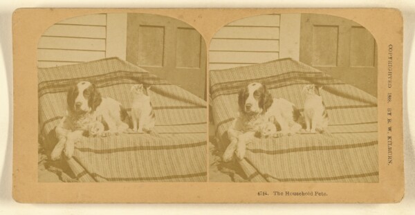 Benjamin West Kilburn, The Household Pets.