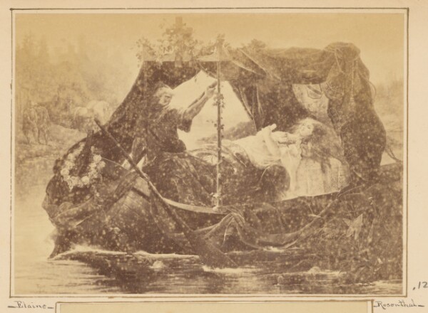 Unknown, Elaine