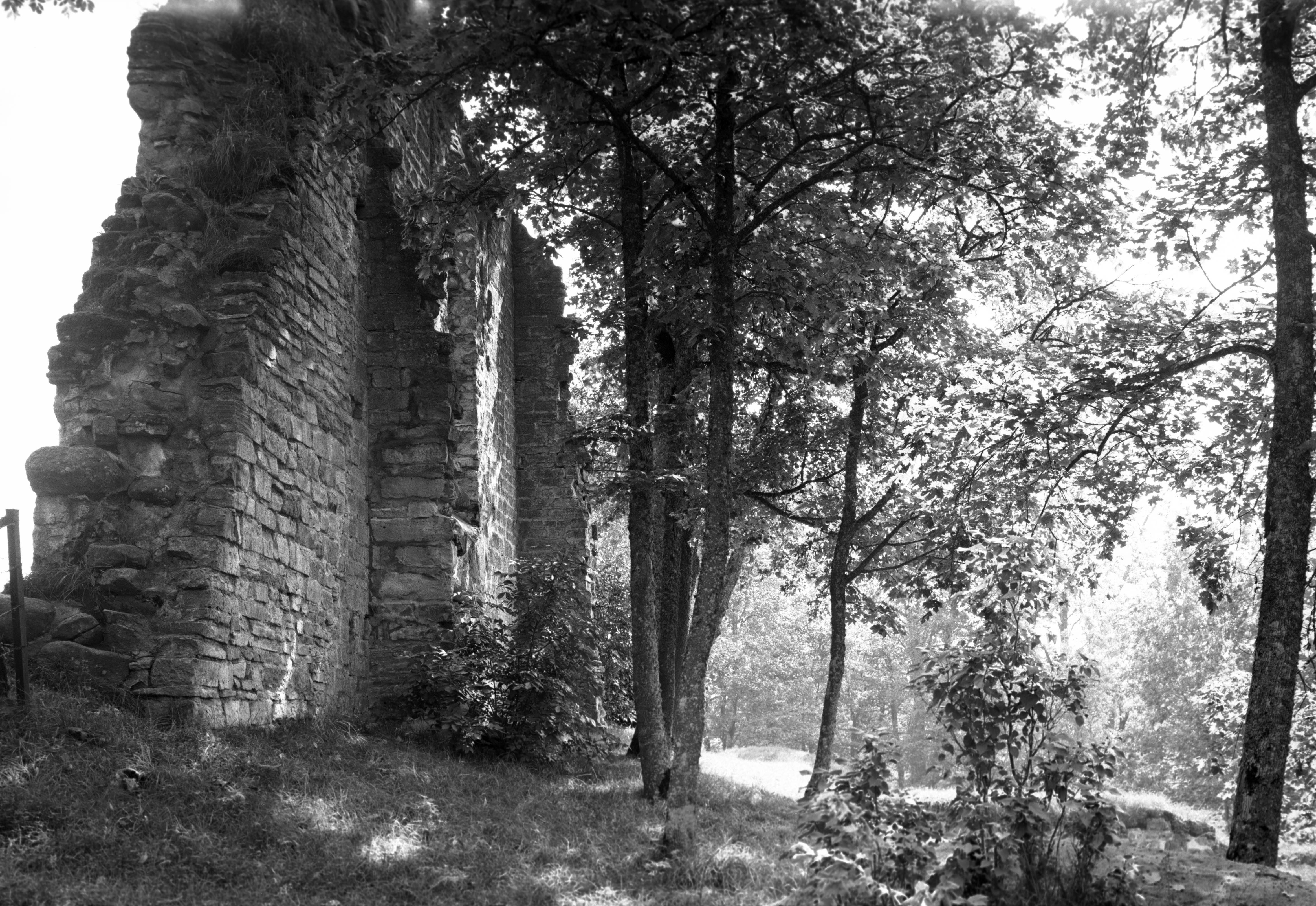 Mårten Sjöbeck, Riseberga klosterruin