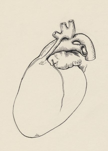 J Tinkelenberg, Cardiovascular system