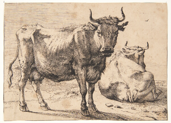 Paulus Potter, Stående og liggende ko