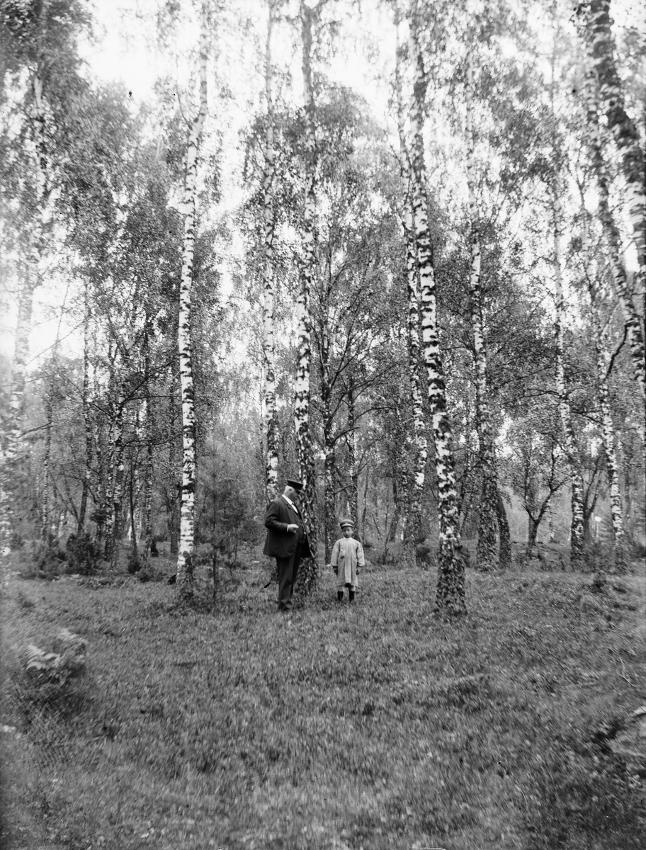 Carl Liljefors, Frithiof and Erik Liljefors in Visbohammar, Gnesta, Södermanland 1900 - 1901