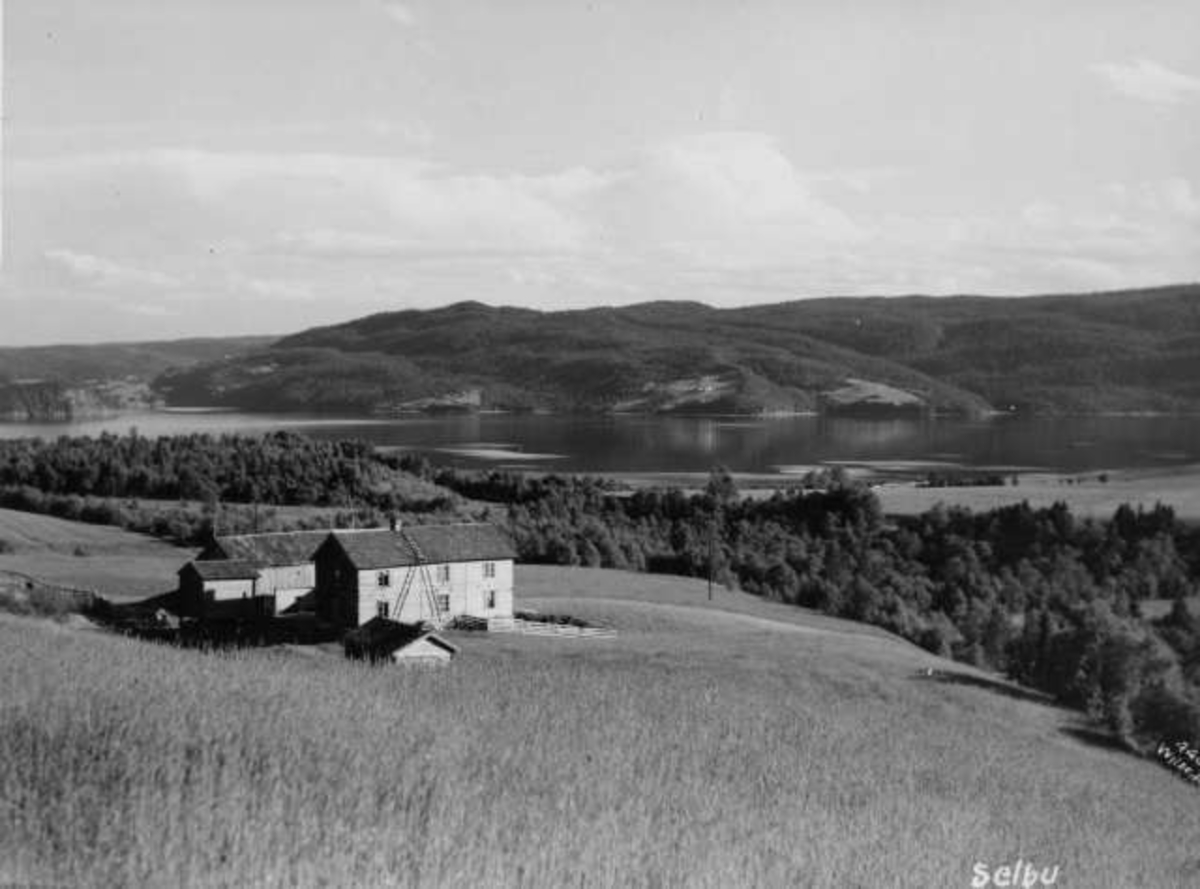 Anders Beer Wilse, -6274