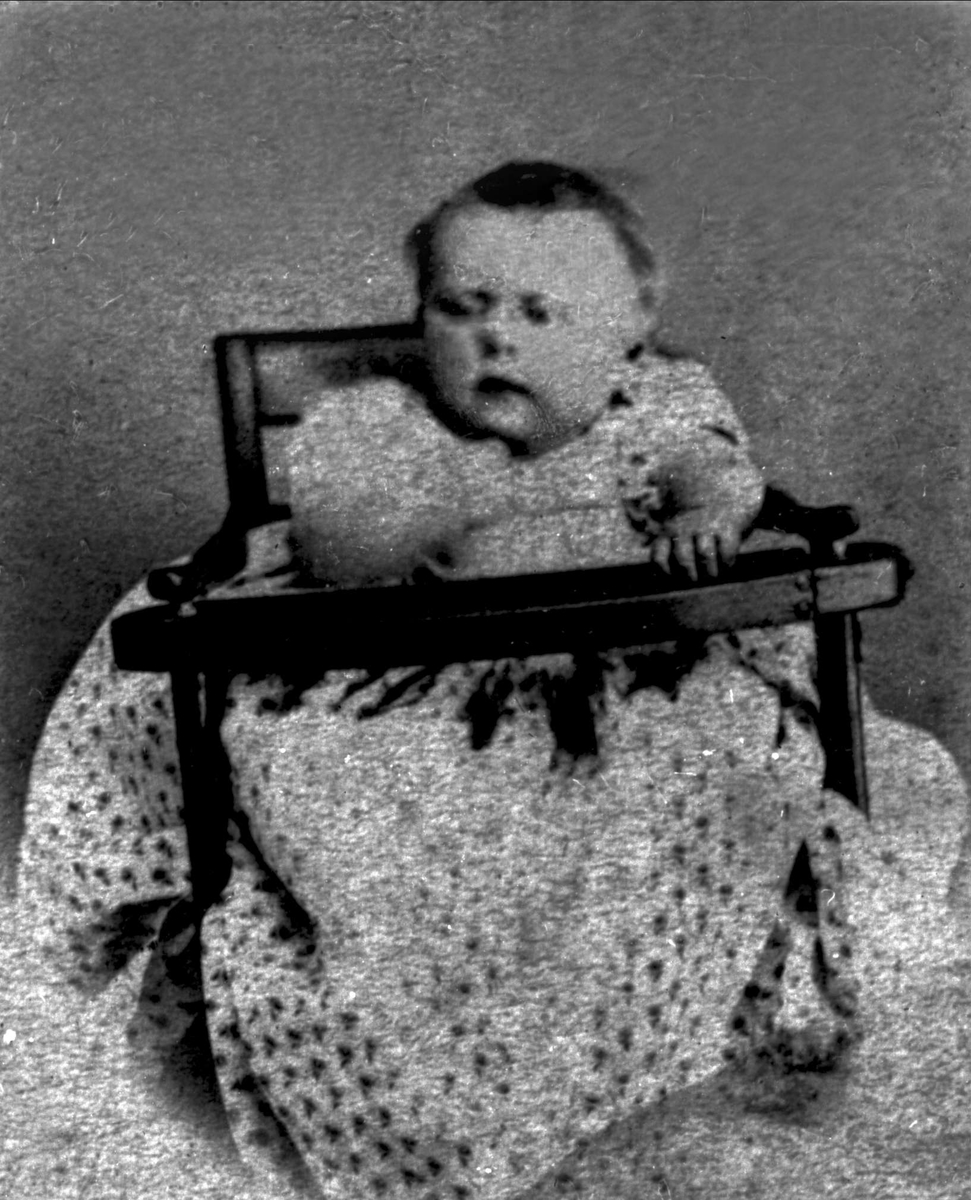 Gustav Borgen, Avfotografering.