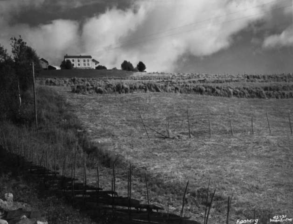 Anders Beer Wilse, -8137
