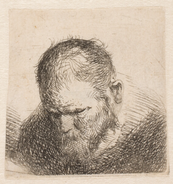 Rembrandt van Rijn, Hovedet af en skægget mand