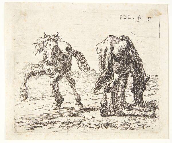 Pieter van Laer, To heste på en eng