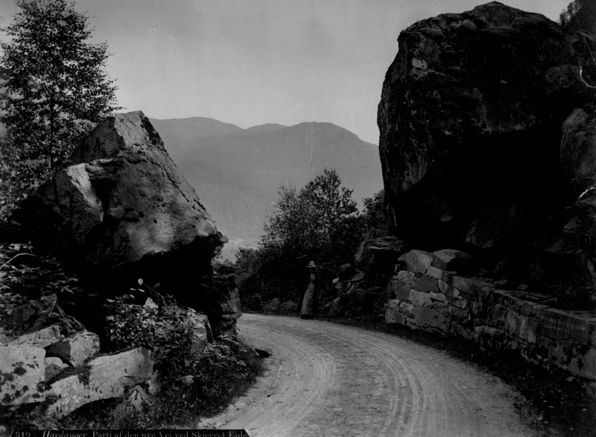 Anders Beer Wilse, NF.01002-308