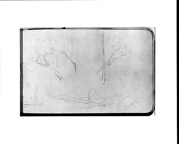 Albert Bierstadt, Sketches of Trees (from Sketchbook)