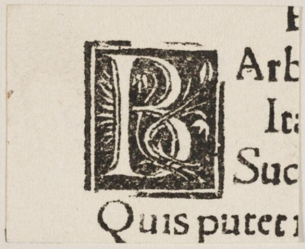 Unknown, Print