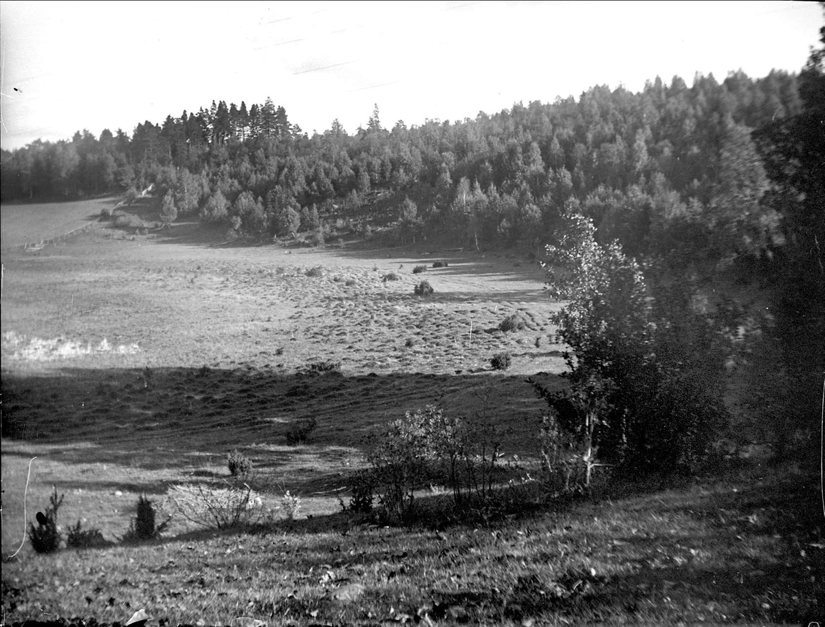 August Fredrik Schagerström, Landskapsvy vid Kungshamn, Alsike socken, Uppland 1922