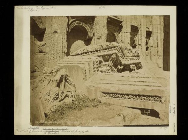 anonymous, Photograph