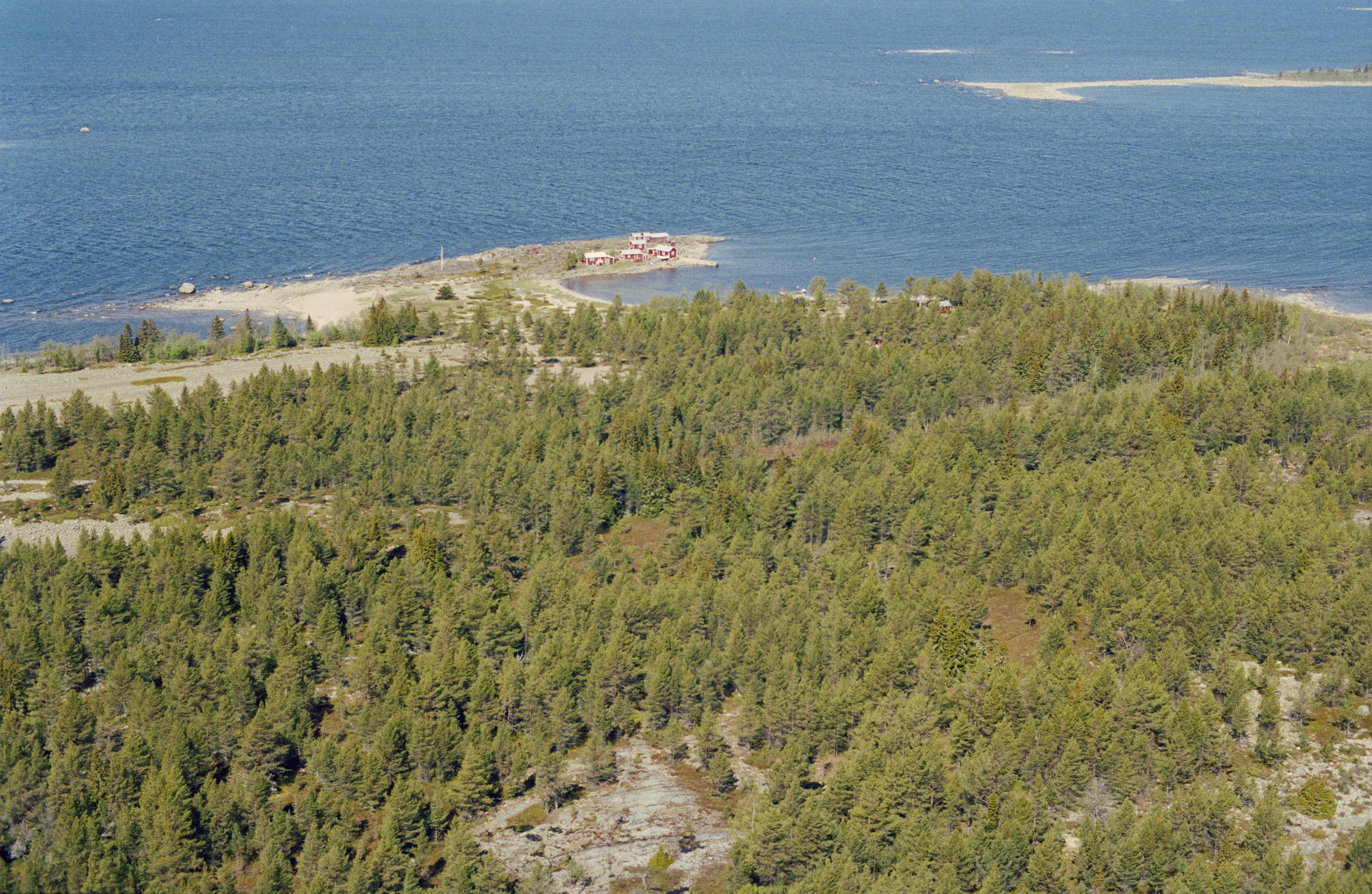 Jan Norrman, Hörnefors 92:1