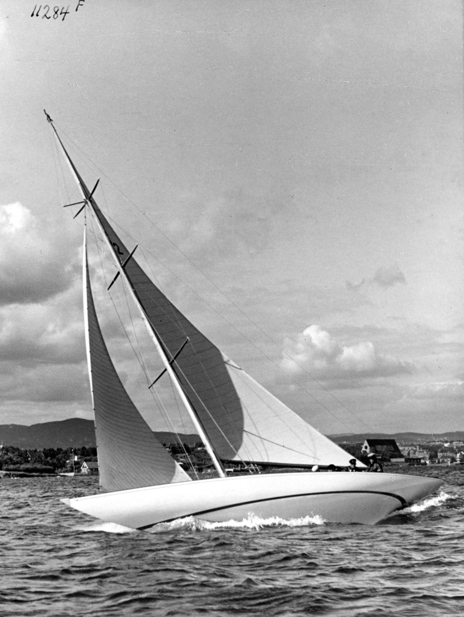 Anders Beer Wilse, Seilsport