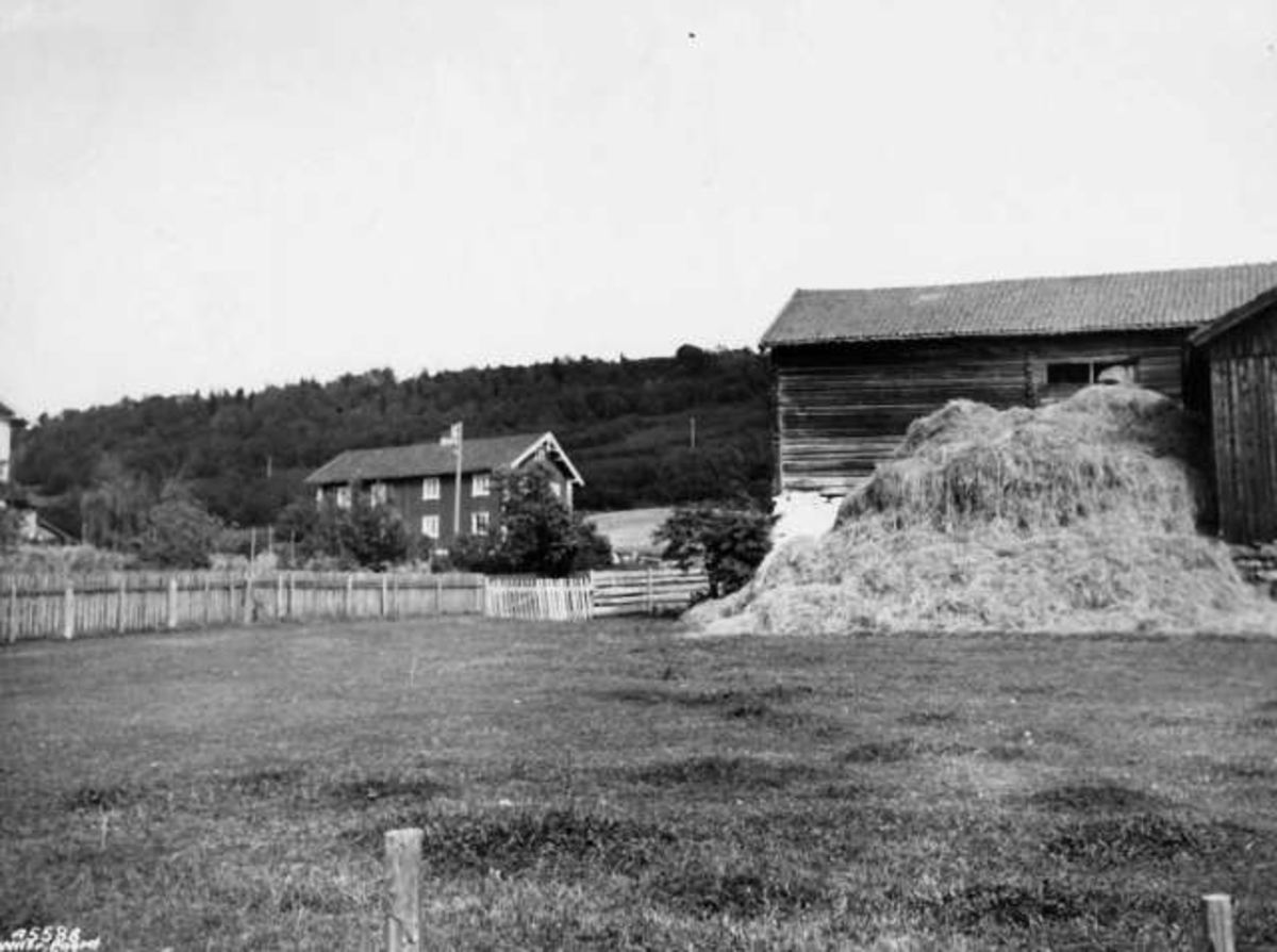 Anders Beer Wilse, -8131