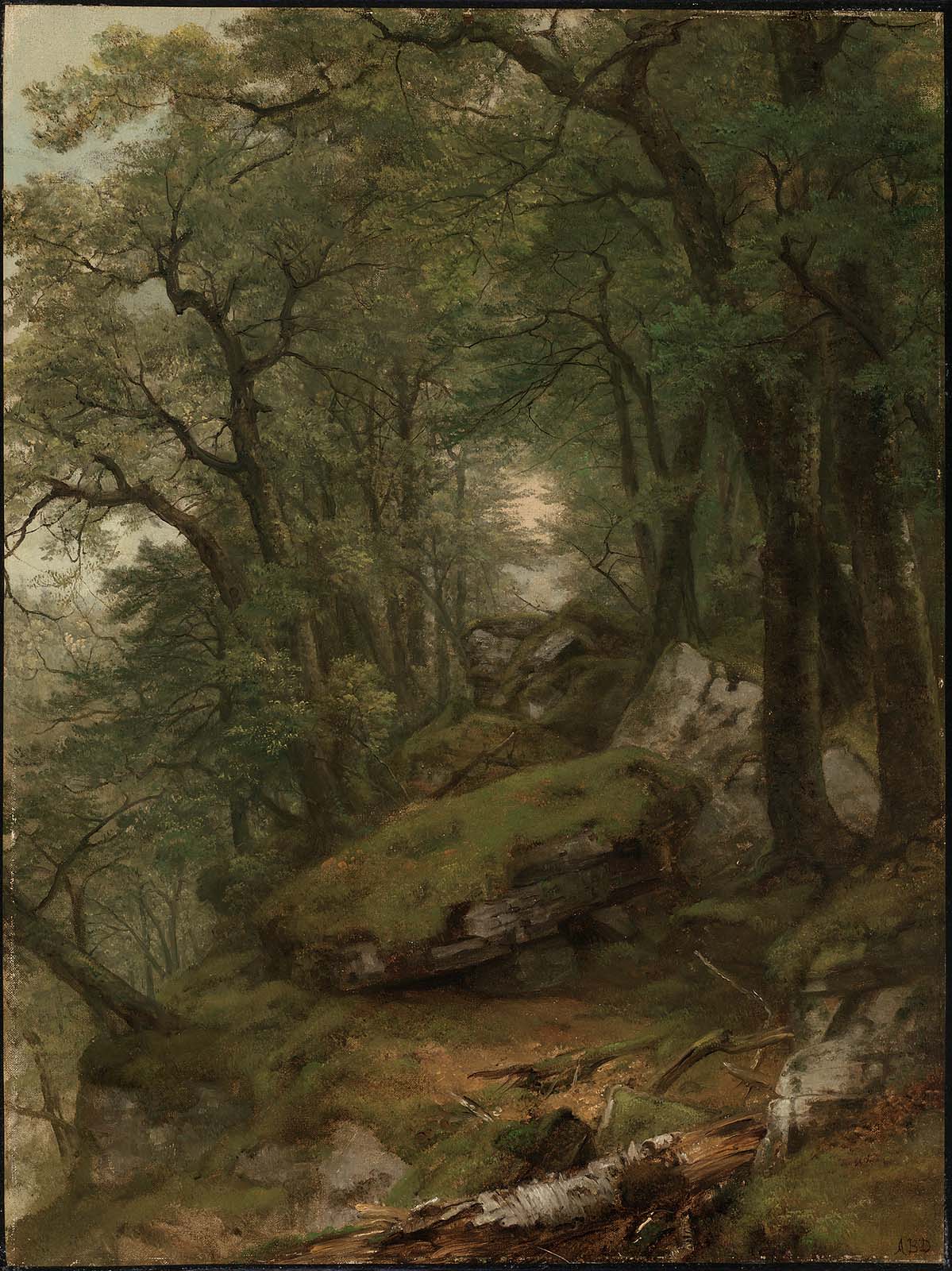 Asher Brown Durand, Woodland Interior