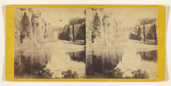 Edward and Henry T. Anthony & Co., Passaic Falls, N.J. The Falls and Bridge across the Gully, from the Basin or Whirpool.