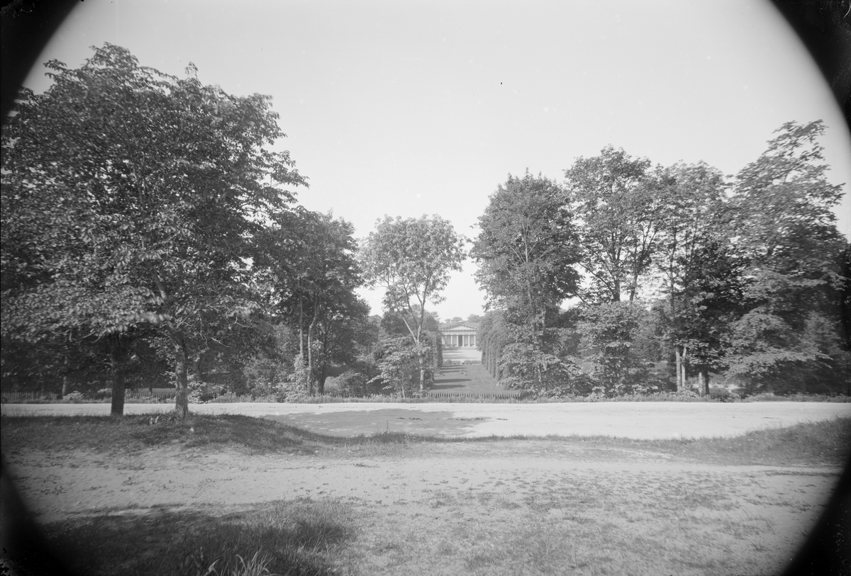 Henri Osti's Fotografiateliér, Botaniska trädgården och Linneanum, Kåbo, Uppsala 1886