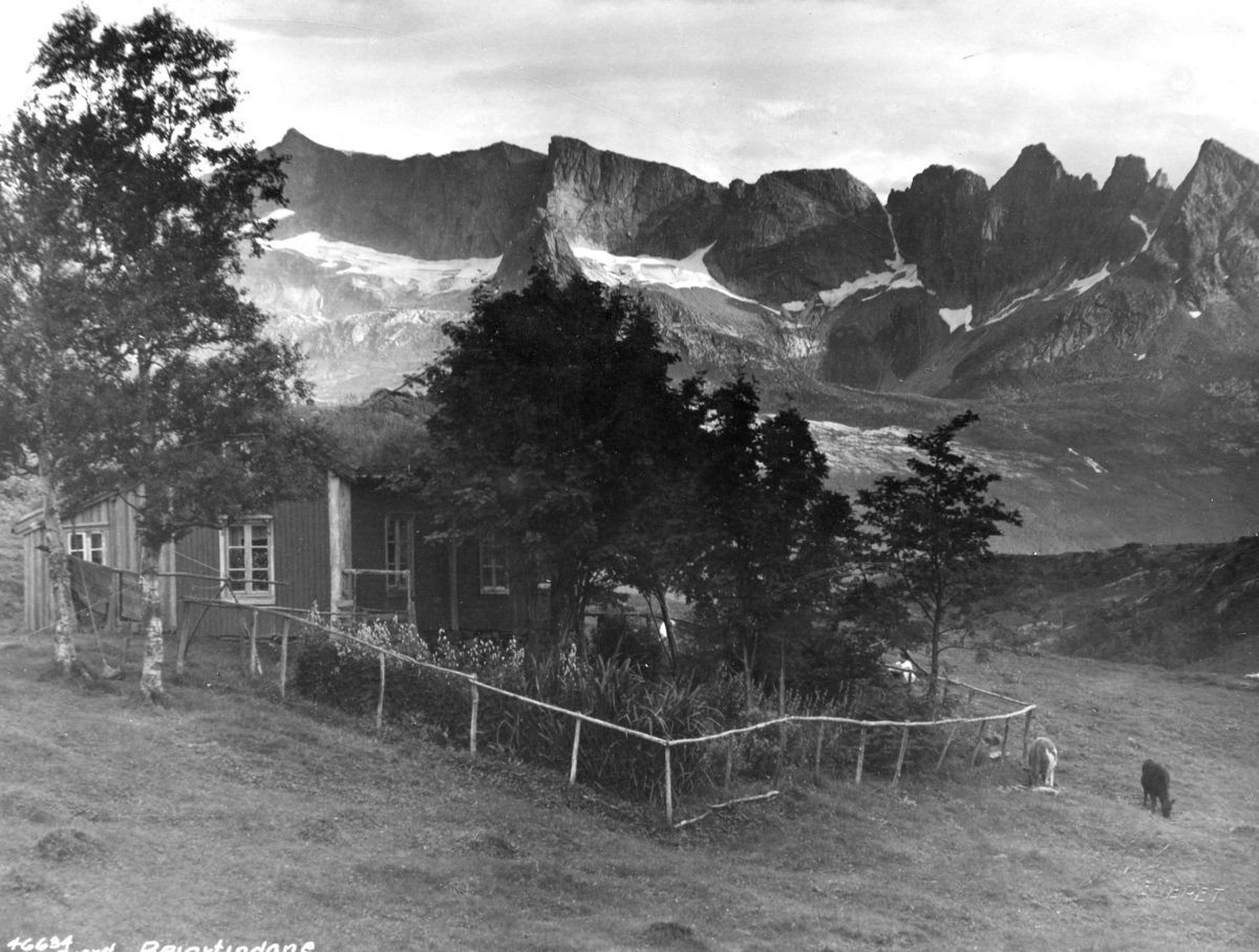 Anders Beer Wilse, Topografi