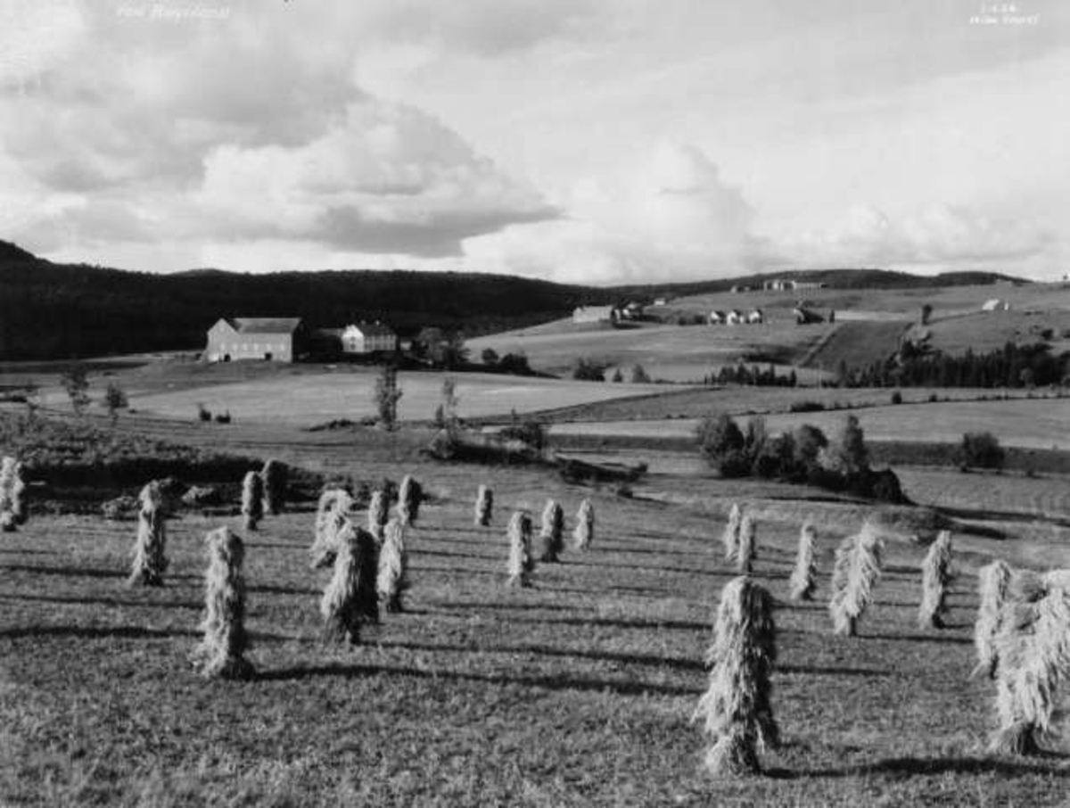 Anders Beer Wilse, -8107