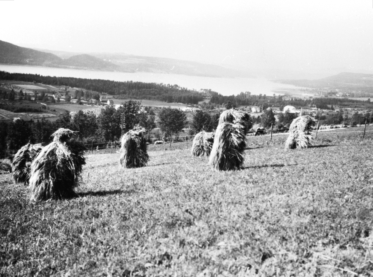 Anno Domkirkeodden, Utsikt fra Mørkved lille, Brumunddal mot Kvarbergvika. Kornsnes i forgrunn.