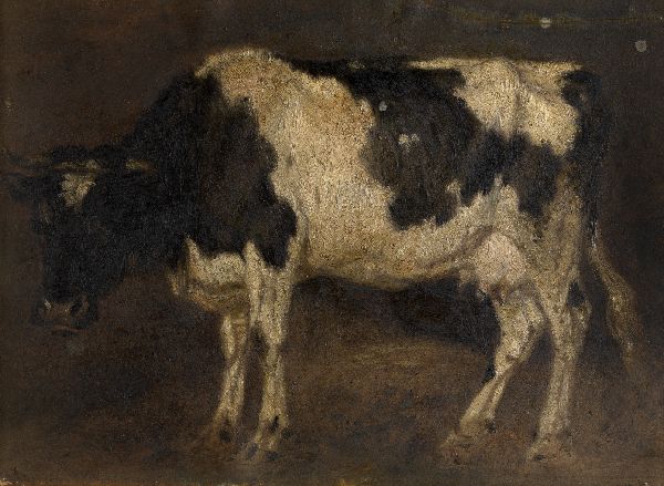 André Plumot, Cow