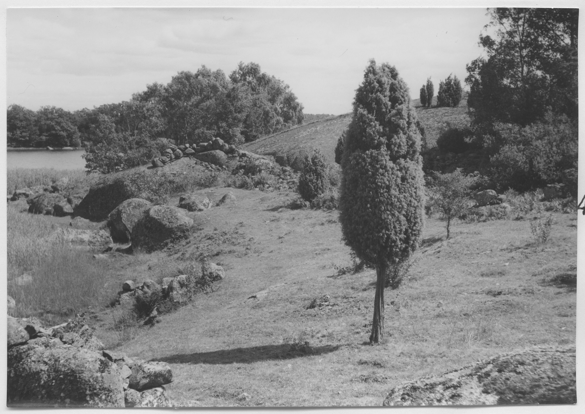 Mårten Sjöbeck, Tjärö