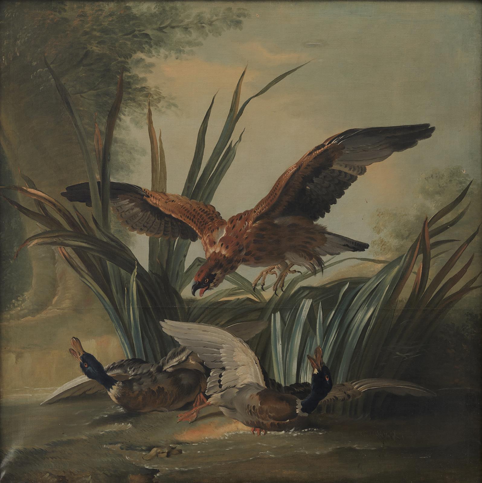 Jean-Baptiste Oudry, En høg slår ned på to ænder