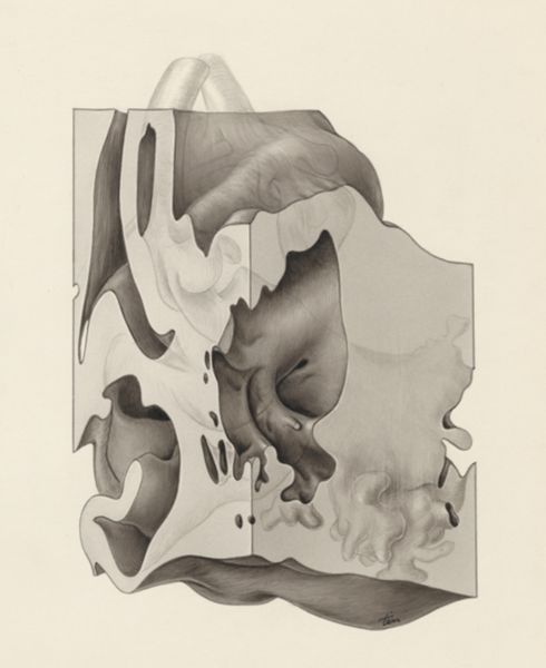 J Tinkelenberg, Embryonic tissue