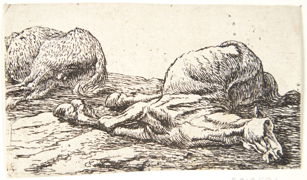 Pieter van Laer, To døde heste