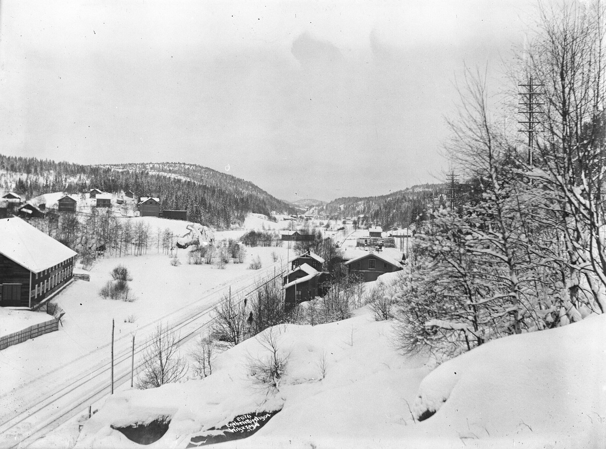 Anders Beer Wilse, Prot: Heggedal - Oversigt med Stationsbygningen Januar