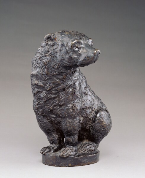 Unknown, Bear