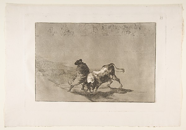 Goya (Francisco de Goya y Lucientes), Plate 14 from "La Tauromaquia": The very skillful student of Falces, wrapped in his cape, tricks the bull with the play of his body
