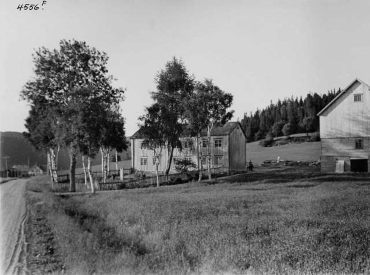 Anders Beer Wilse, Fra protokoll:" Trøndelag Namsos 1936" - stedsangivelse betviles av lokalkjent.