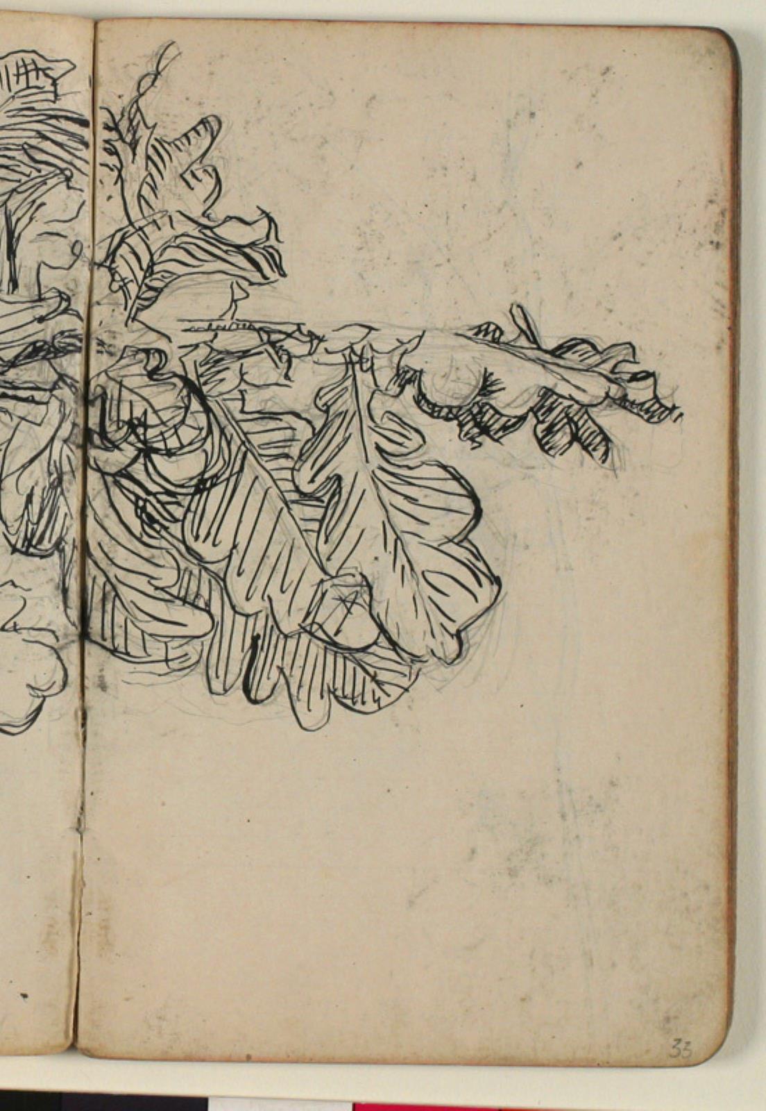 Niels Larsen Stevns, Plantestudie