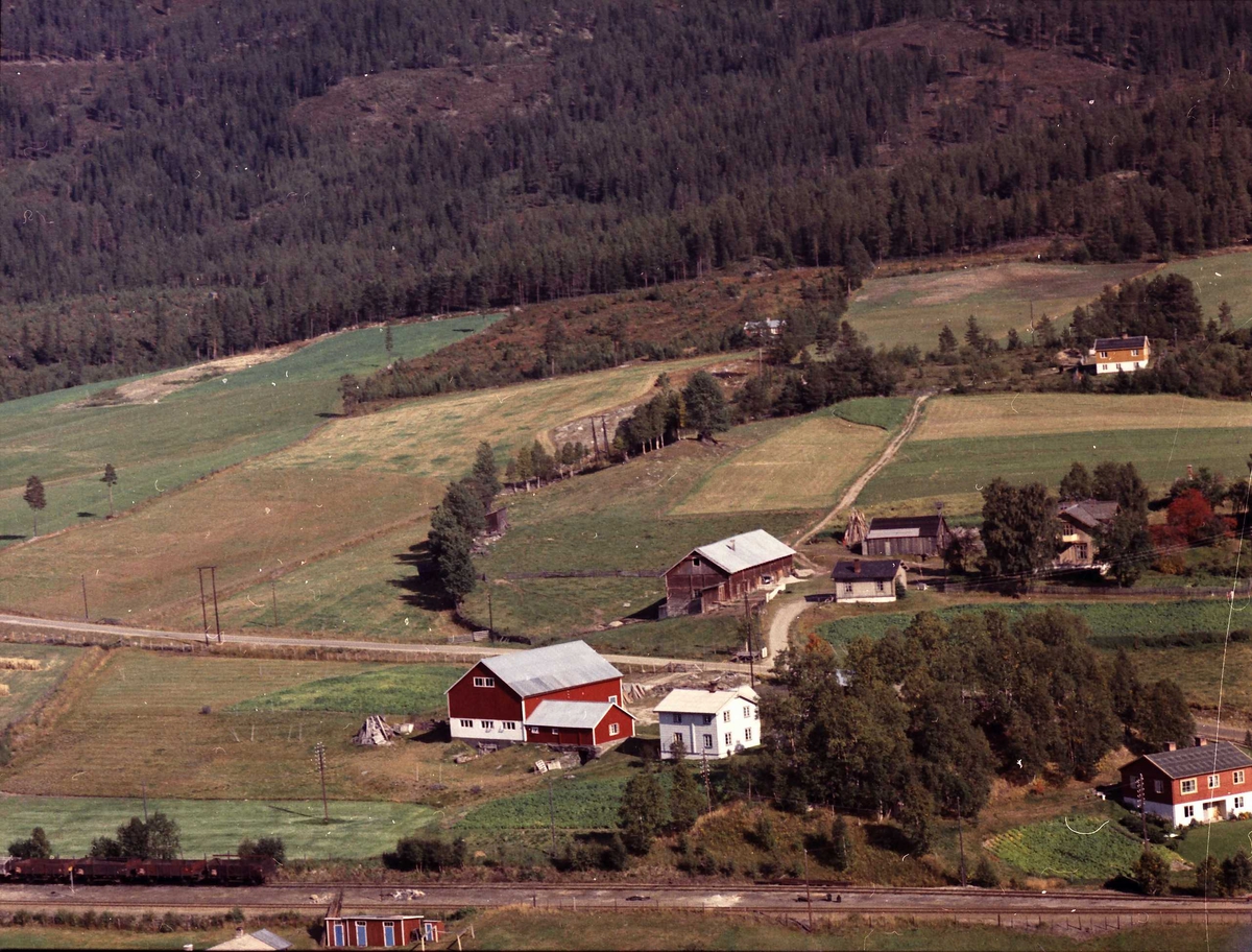Widerøes Flyveselskap A/S, Gårdsbruk (Stortorhaugen).