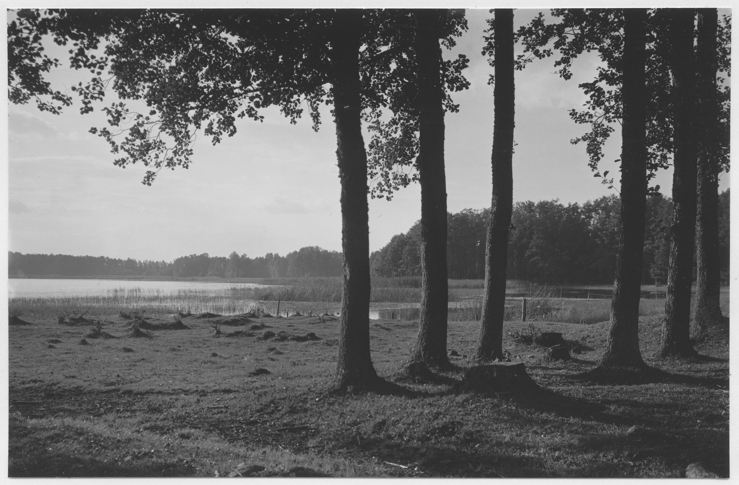 Mårten Sjöbeck, Vibysjön