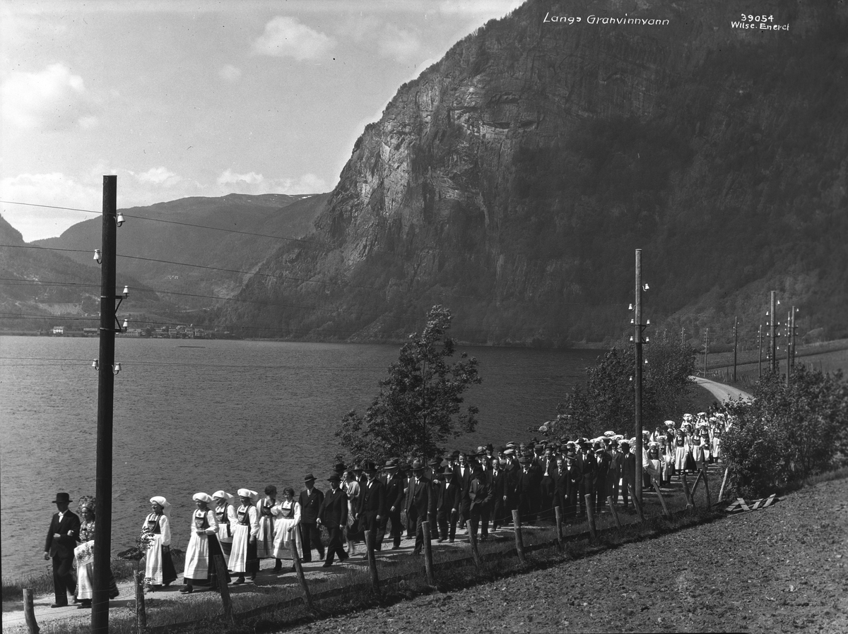 Anders Beer Wilse, Prot: Hardangerbryllup Johan Larson Halven Gudveig Røte Paa vei til kirken
