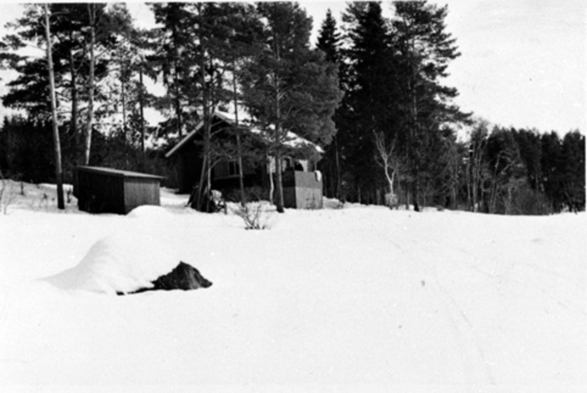 Anno Domkirkeodden, BYGGING AV SKJEGSTADHYTTA I STRANDVEGEN. HUSET BLE FLYTTET FRA TOBRO GÅRD I LØTEN DER DEN BLE KJØPT FOR 150 KRONER. VINTER