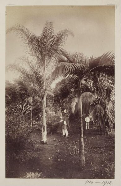 Unknown, Photograph
