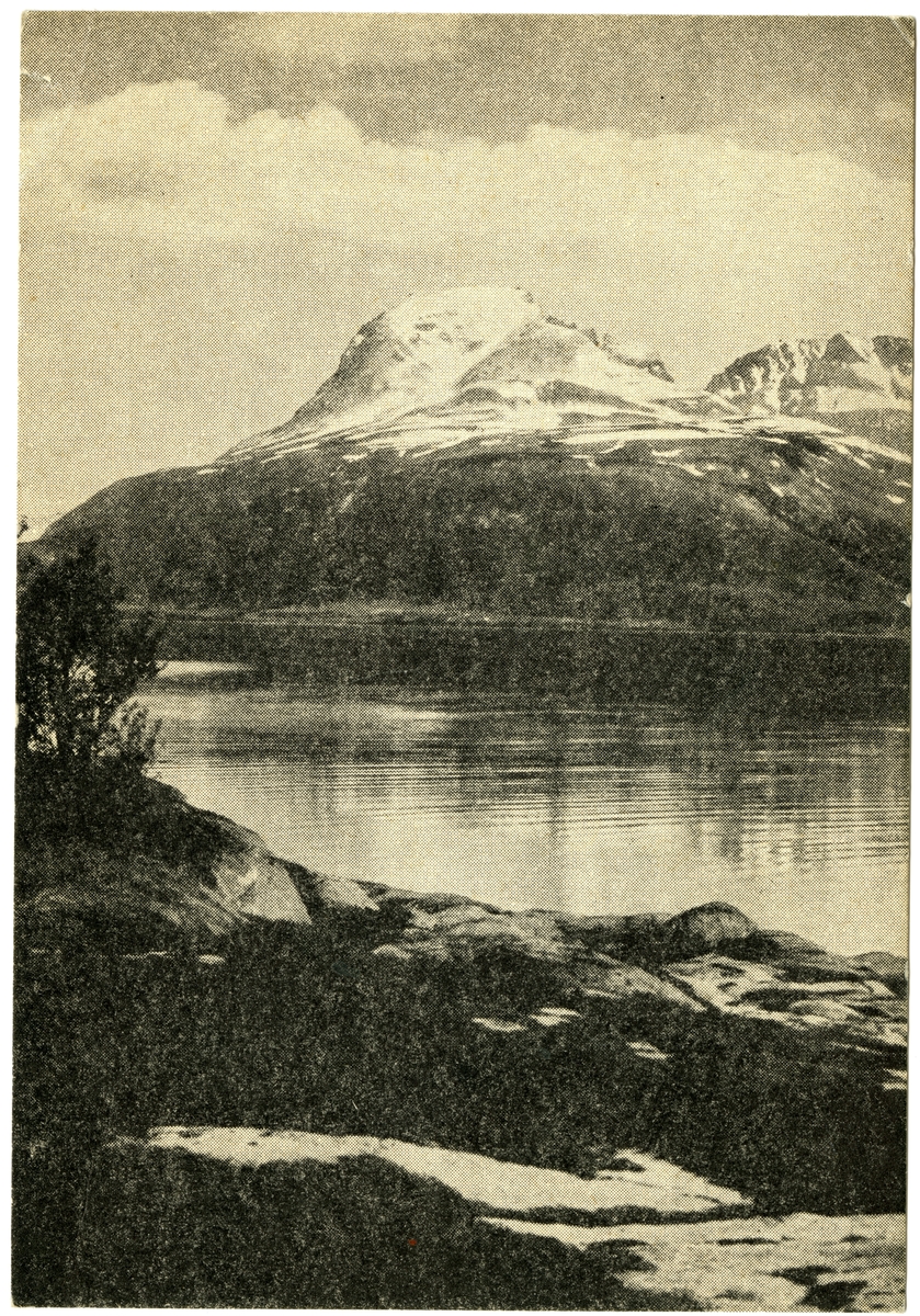 Anders Beer Wilse, Balsfjord Nordland