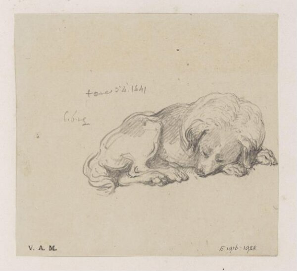 George Chinnery, A sleeping dog
