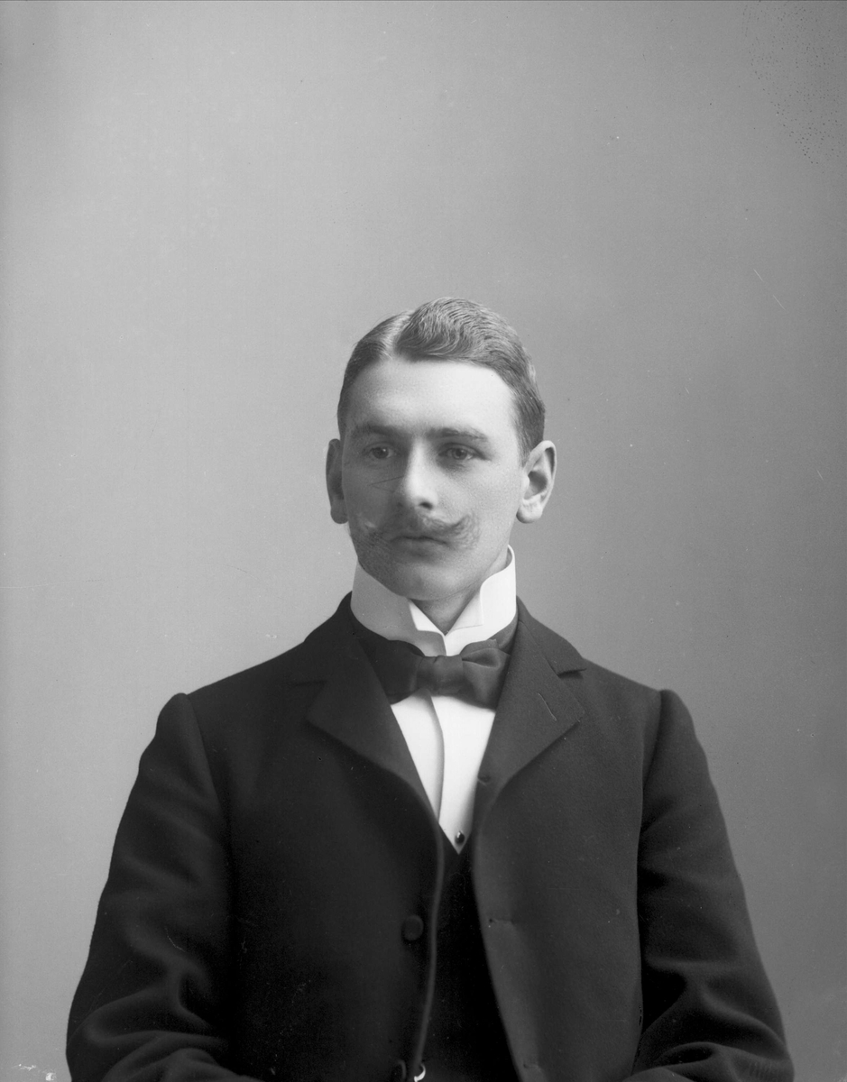 Gustav Borgen, Avfotografering.