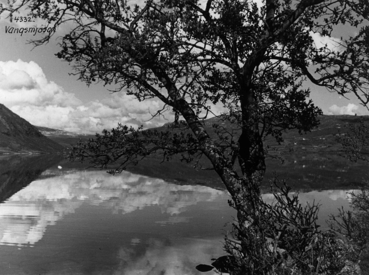Anders Beer Wilse, Landskap Vangsmjosi Valdres