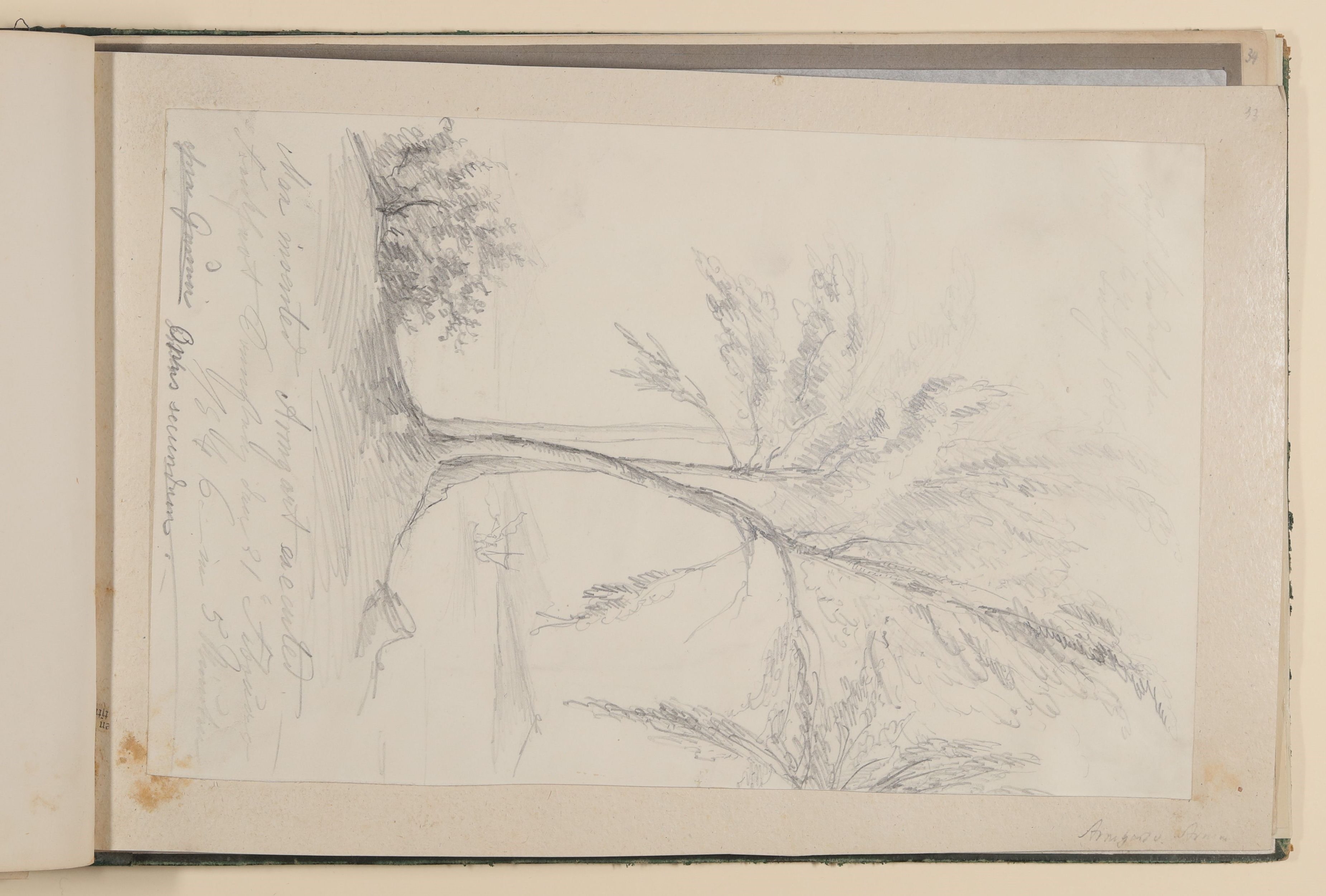 Armgart von Arnim, "Auf Wiedersehen". Uferlandschaft mit hohen Bäumen und einem Segelschiff [aus einem Album aus dem Besitz der Bettine-Töchter]